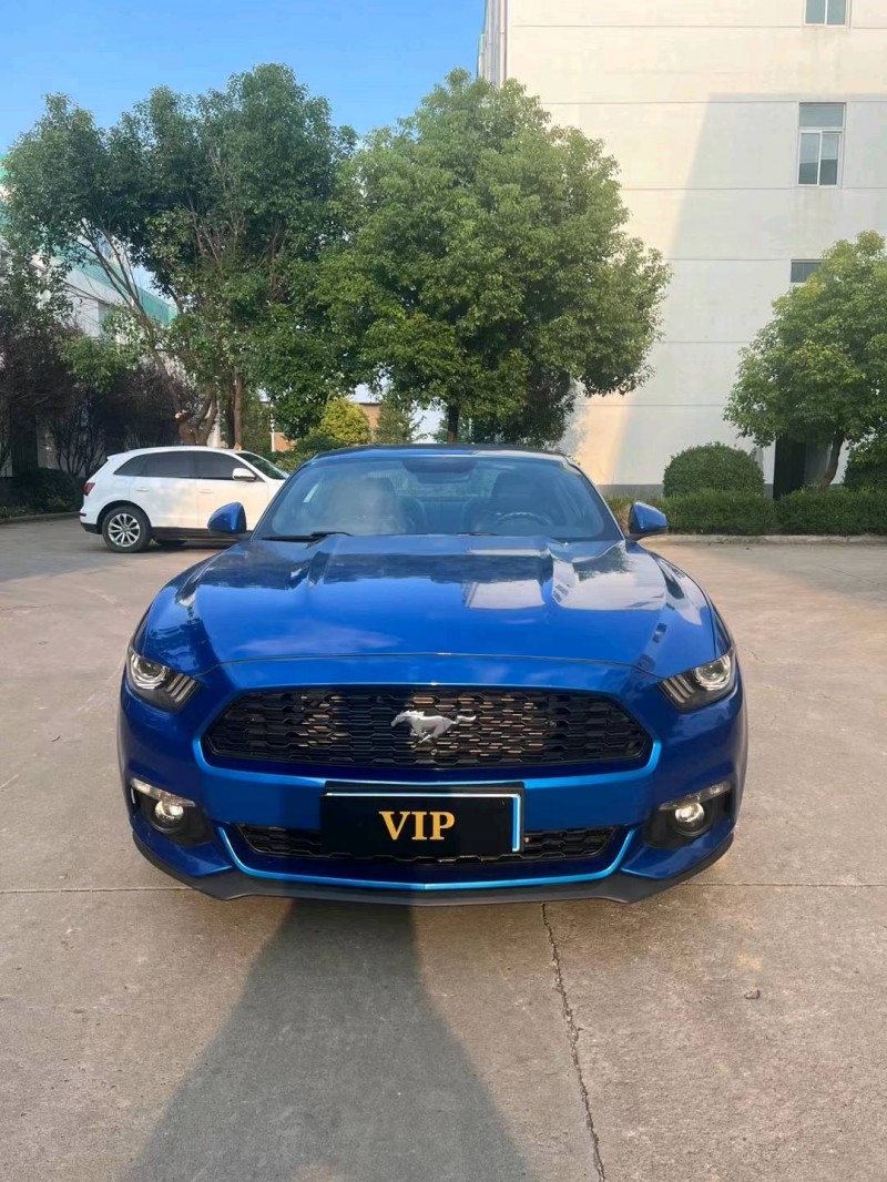 宿迁17年福特野马1