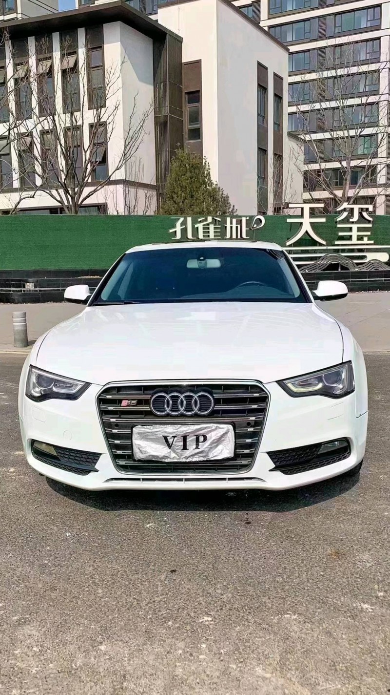 廊坊13年奥迪A51