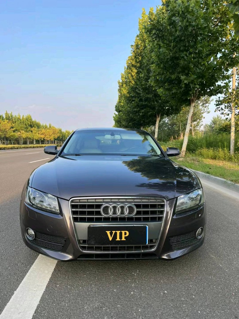 徐州12年奥迪A51