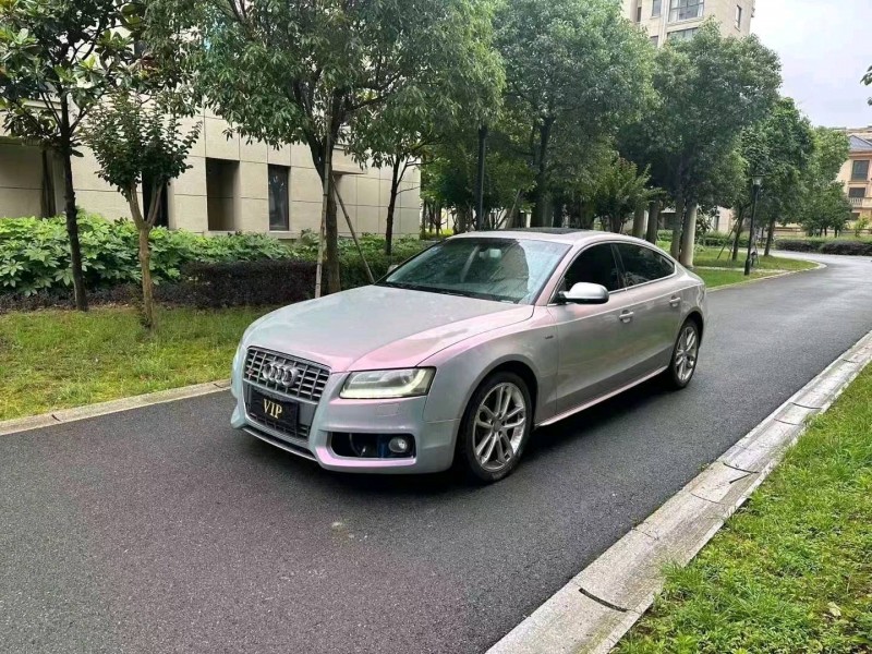 臺州11年奧迪A53