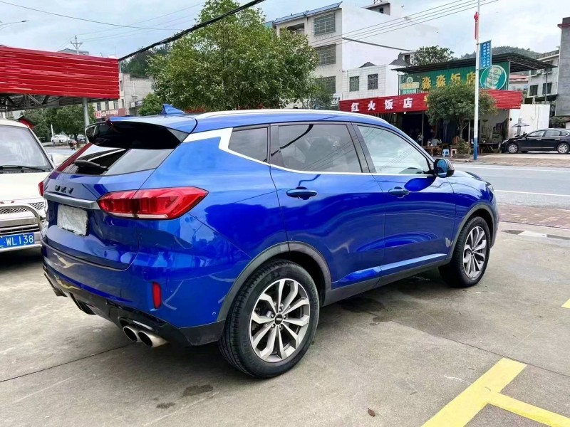 湘潭18年長城汽車WEY VV63