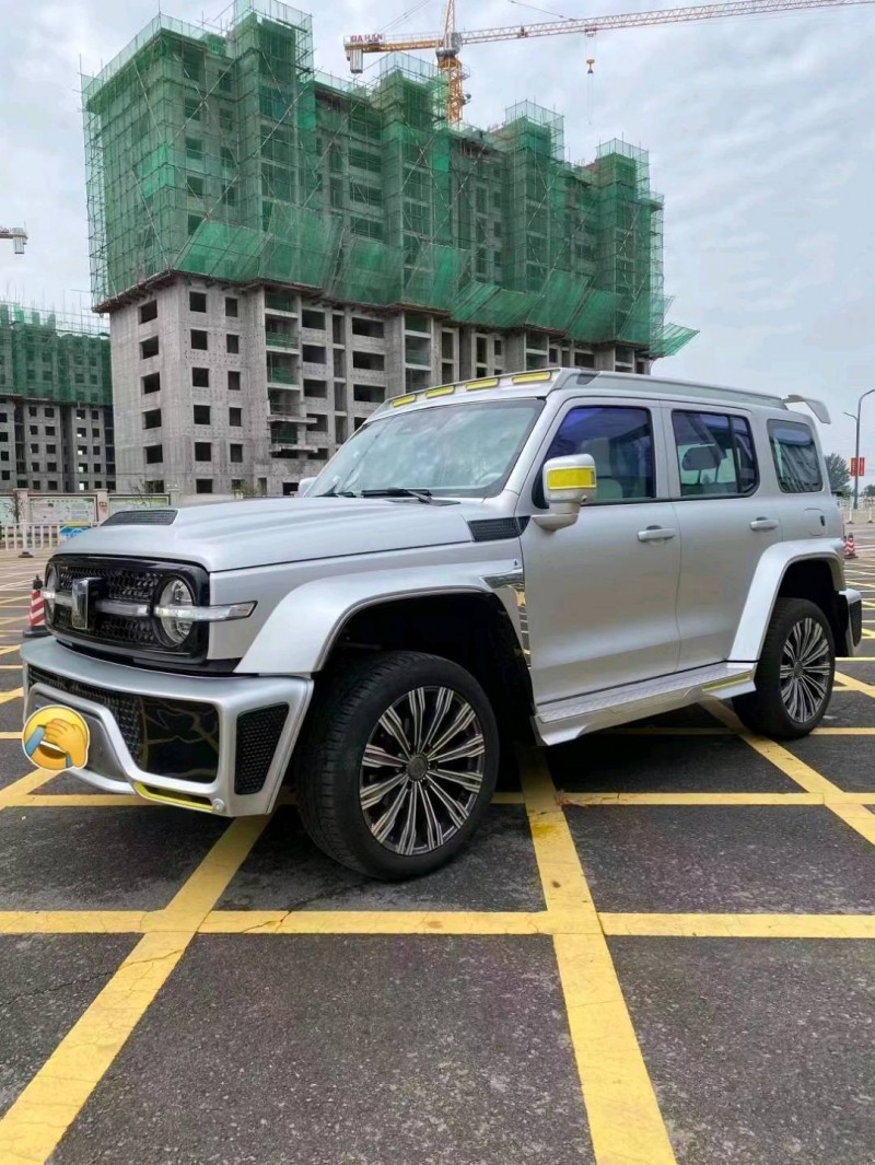 秦皇島22年長城汽車坦克3004