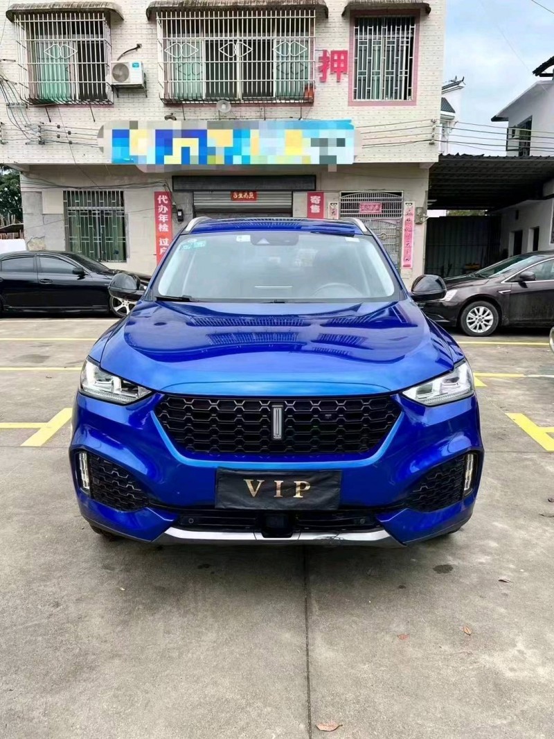 衡阳18年长城汽车WEY VV61