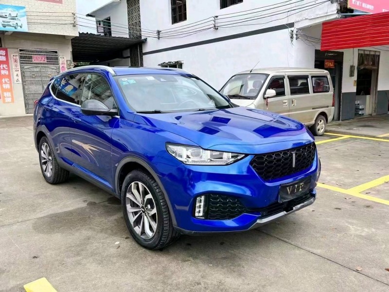 衡阳18年长城汽车WEY VV64