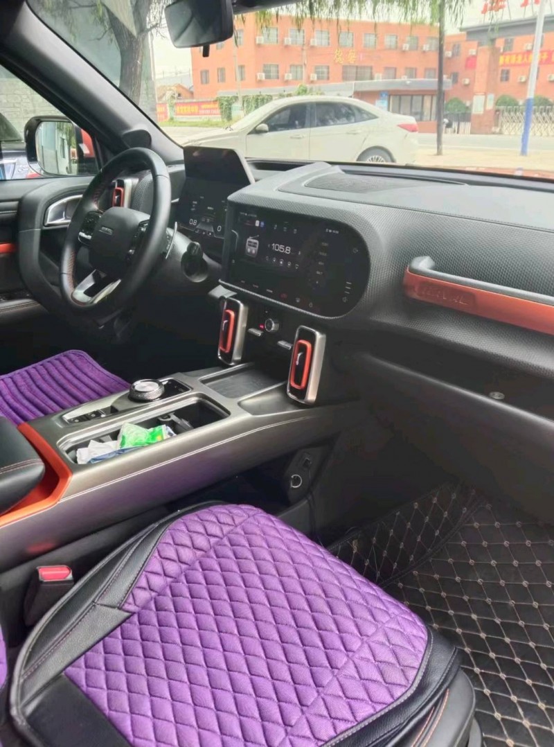 保定21年哈弗大狗5