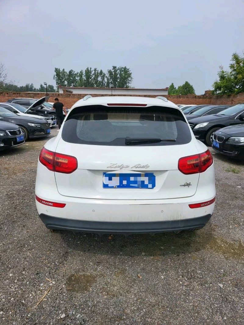 保定17年众泰SR99