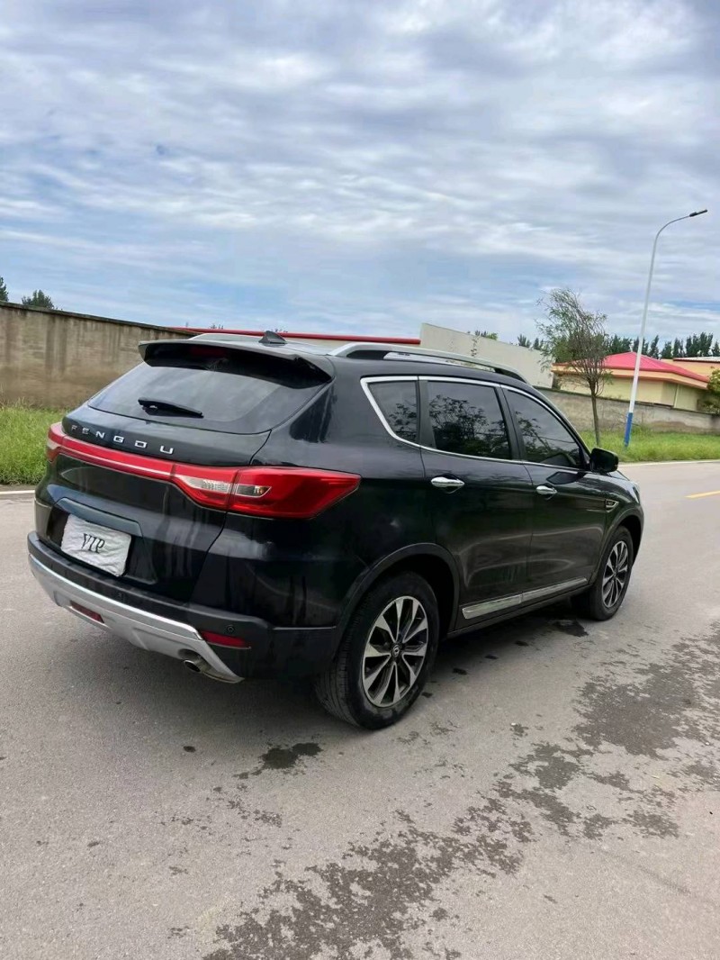 邢台17年东风风度7