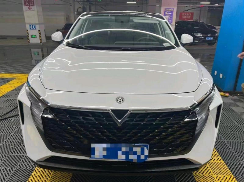 臺州23年啟辰大V1