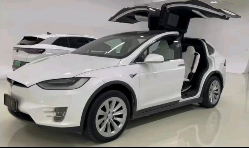 廣州21年特斯拉MODEL X1