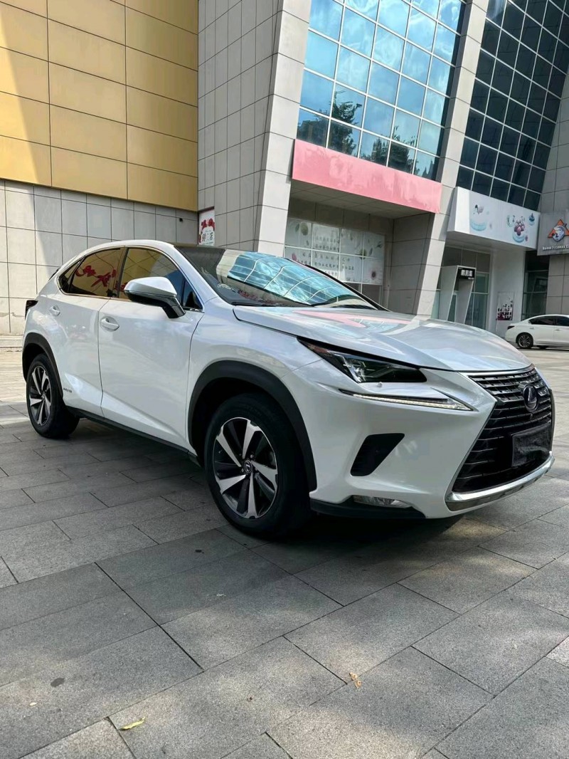沈阳19年雷克萨斯NX2