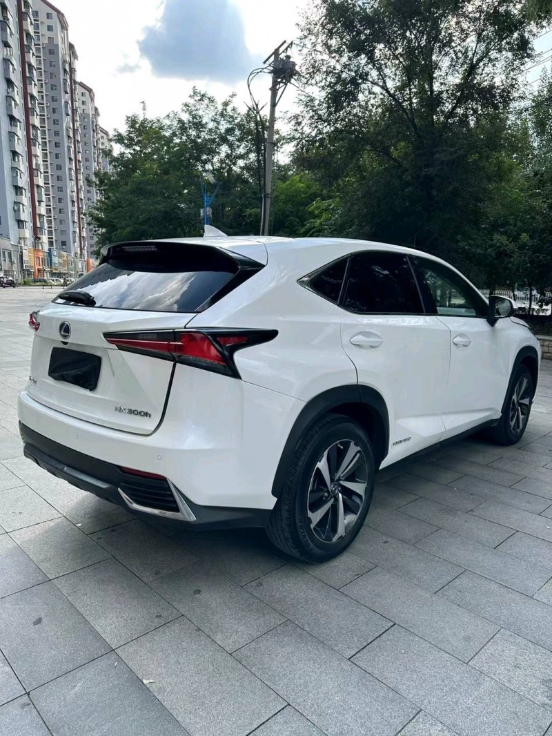 沈阳19年雷克萨斯NX5