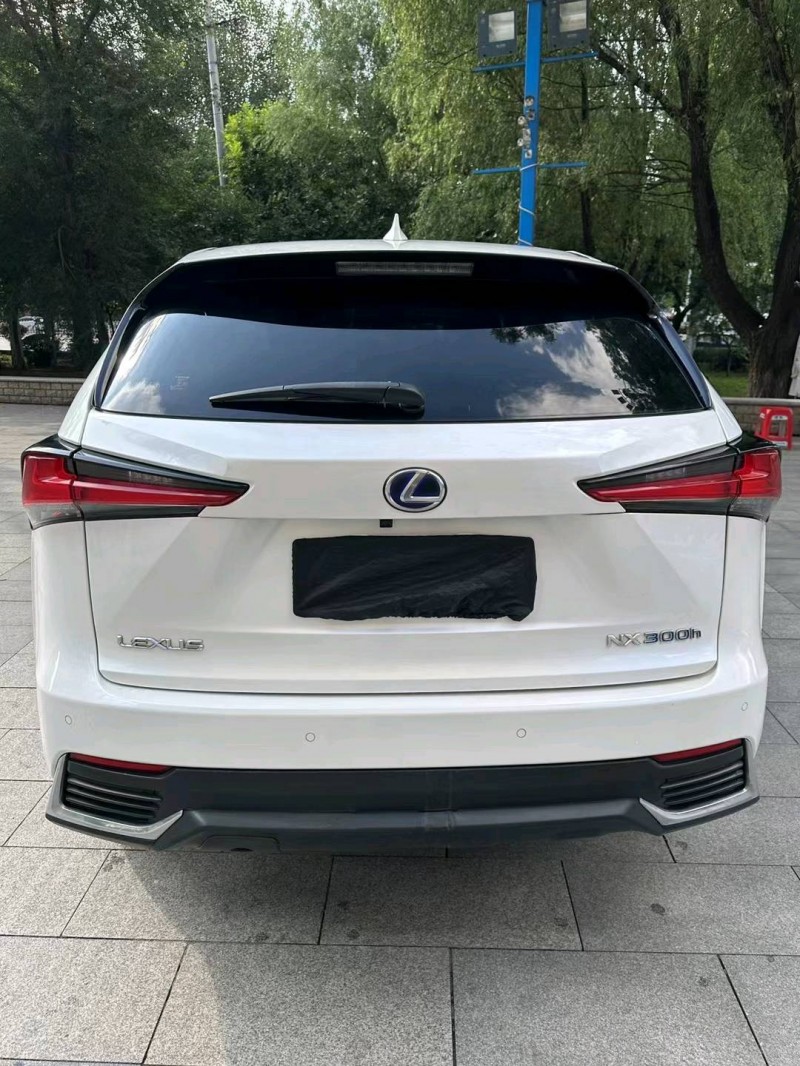 沈阳19年雷克萨斯NX6