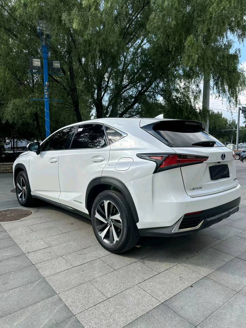 沈阳19年雷克萨斯NX9