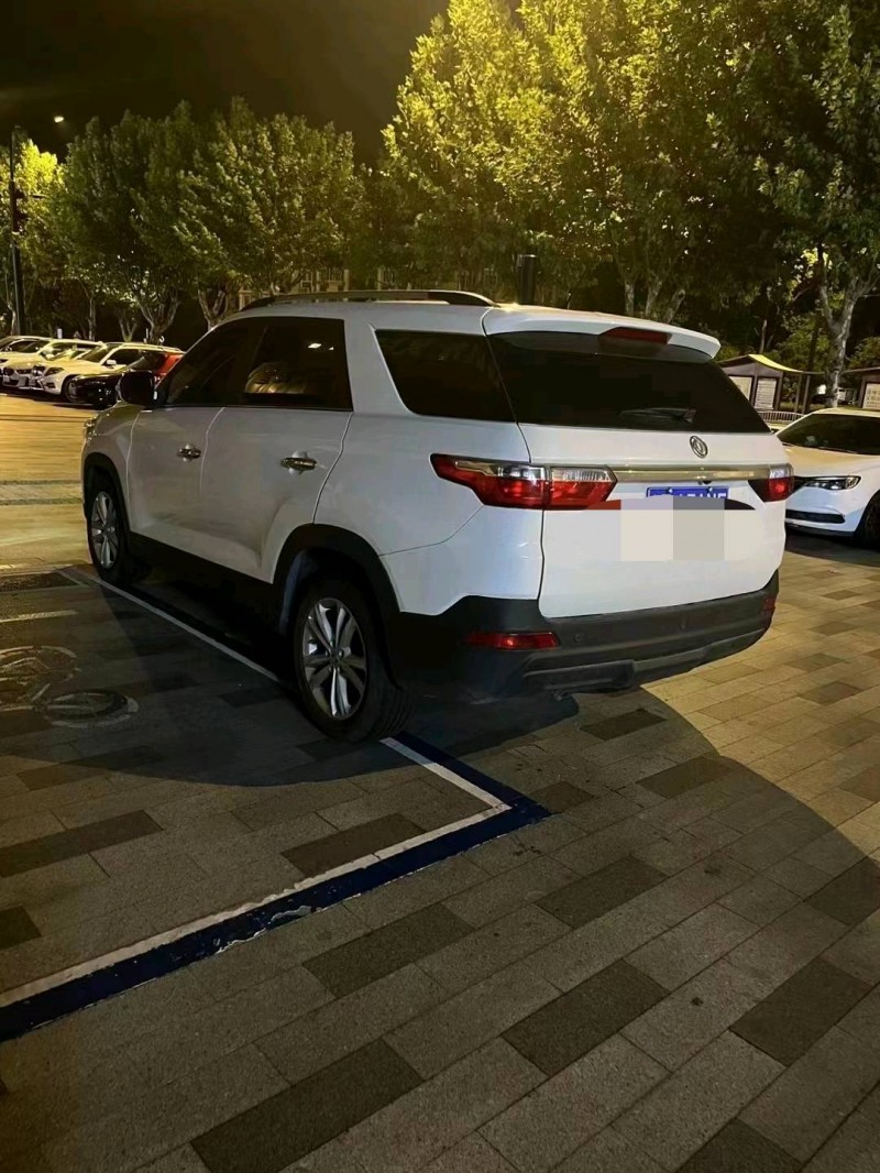 邯郸21年东风S5606