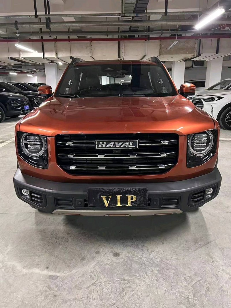 成都20年哈弗大狗1