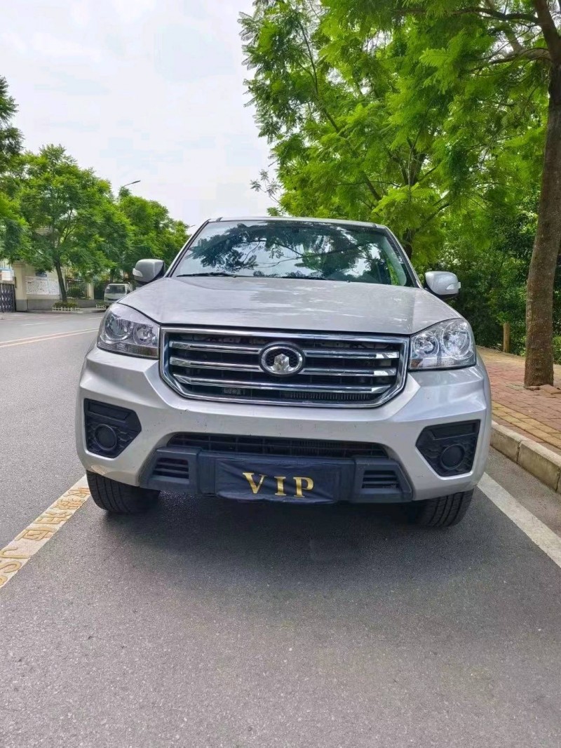 安順19年長城汽車風駿51