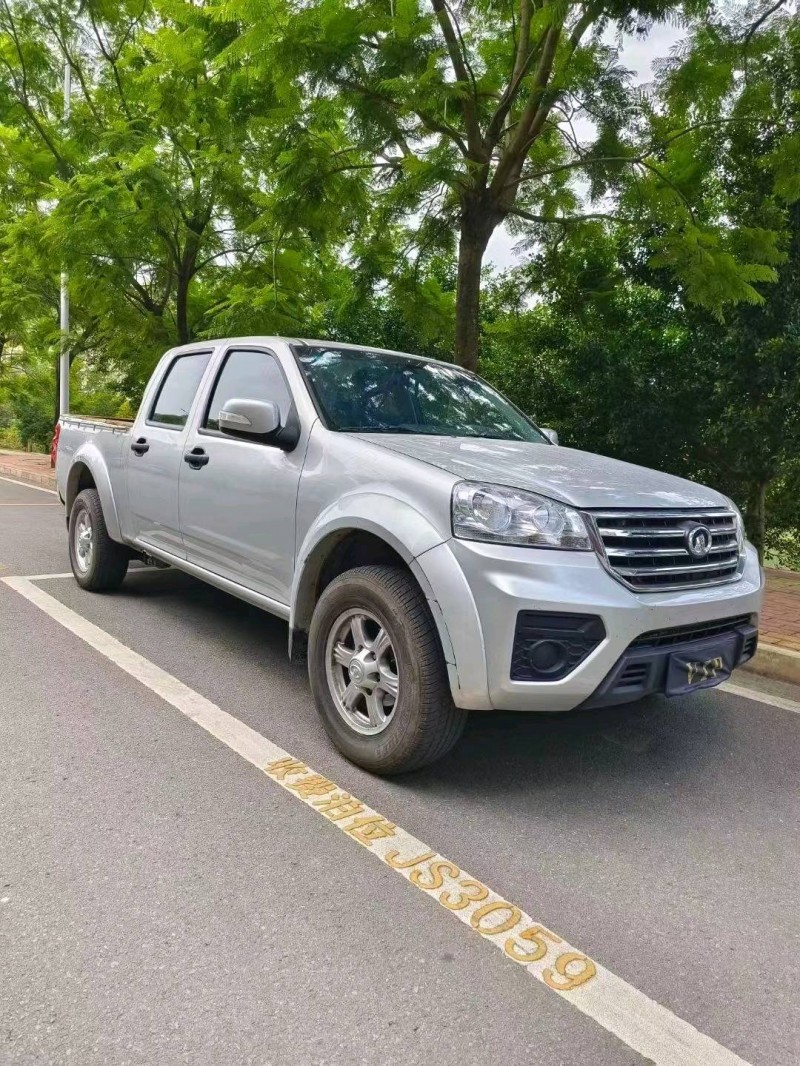 安順19年長城汽車風駿52