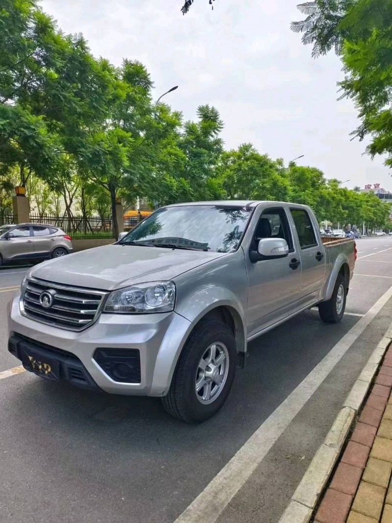 安順19年長城汽車風駿58