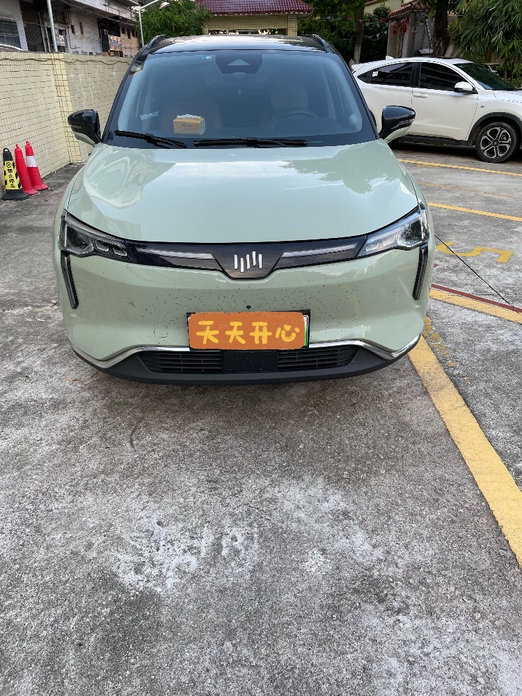 江門21年威馬汽車W61