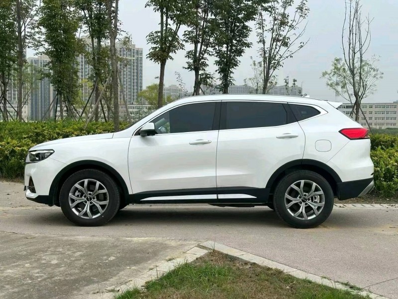 东营23年哈弗H63