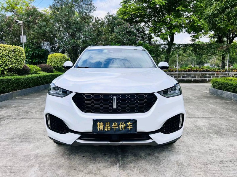 广州17年长城汽车WEY VV61