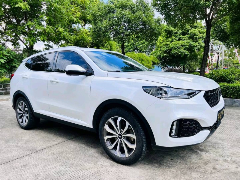 广州17年长城汽车WEY VV62