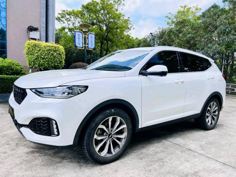 广州17年长城汽车WEY VV63