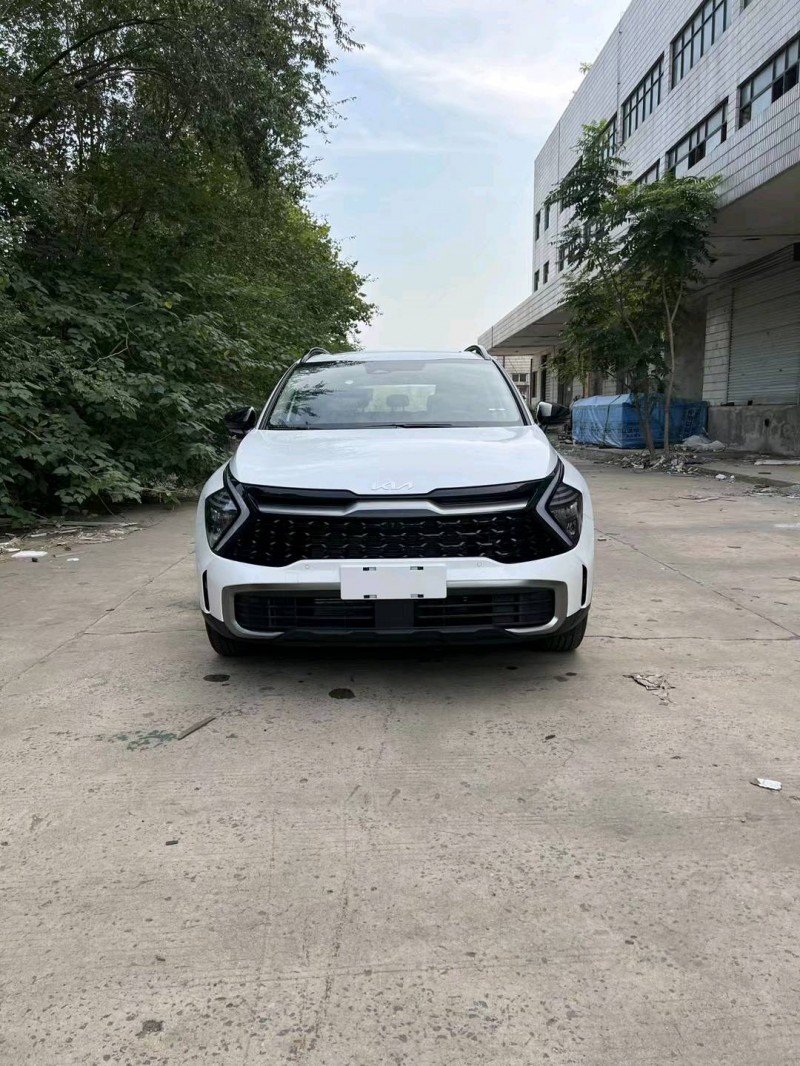 邯郸23年起亚狮铂1