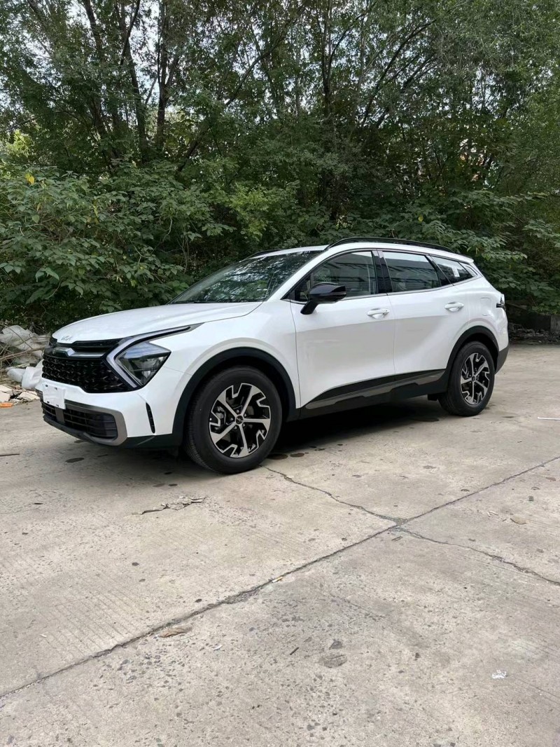 邯郸23年起亚狮铂2