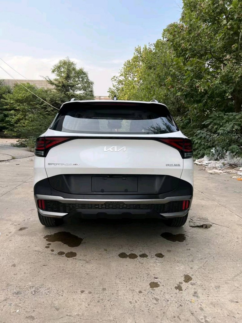 邯郸23年起亚狮铂9