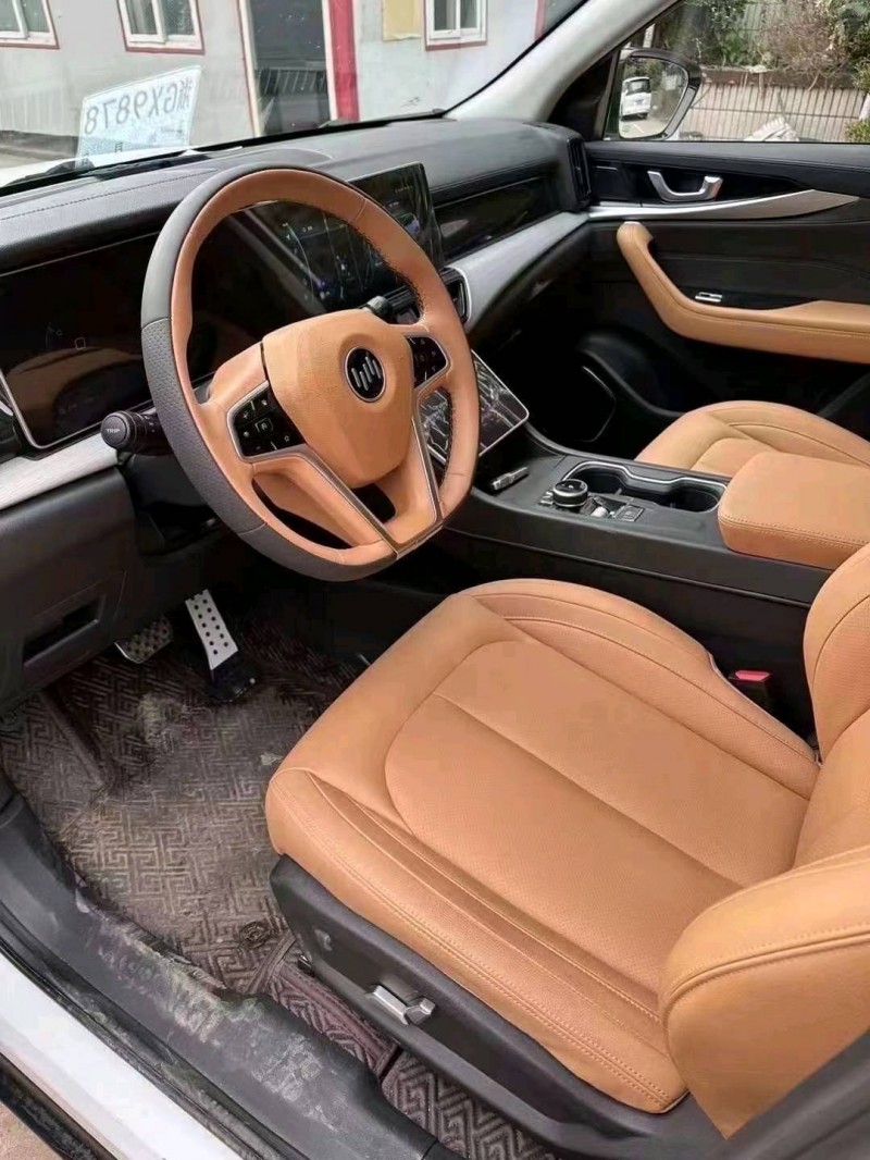 邯郸23年威马汽车W64