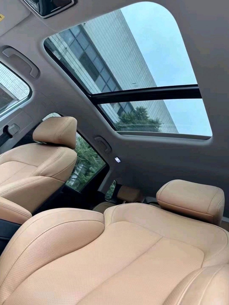 邯郸23年威马汽车W65