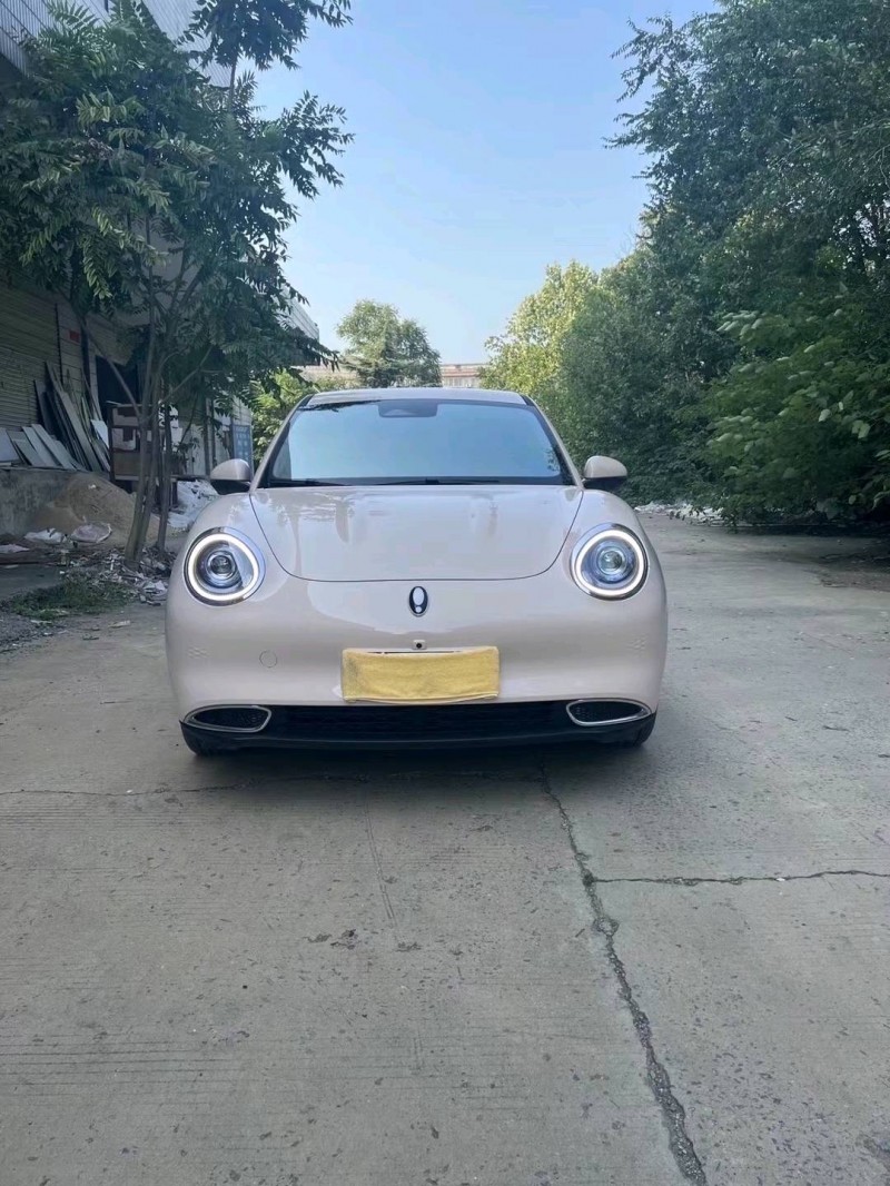 邯郸23年长城汽车欧拉1