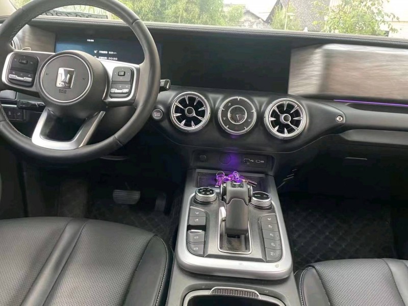 邯郸22年长城汽车坦克3004