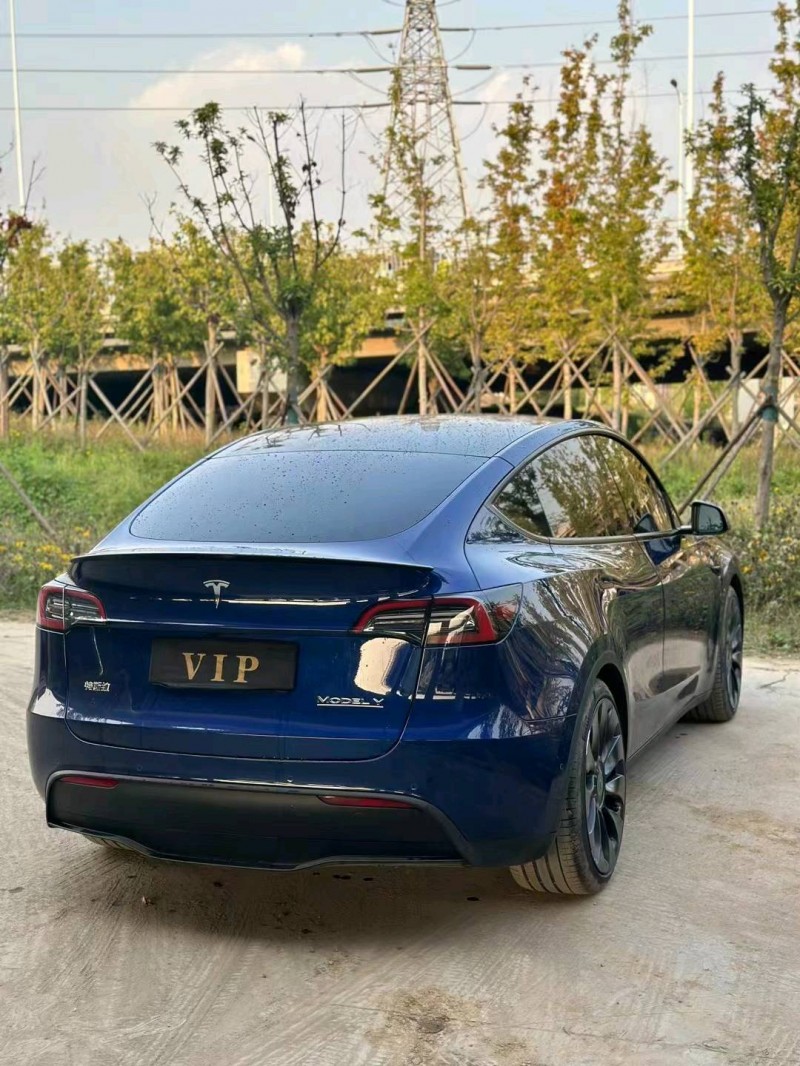 棗莊22年特斯拉MODEL Y5