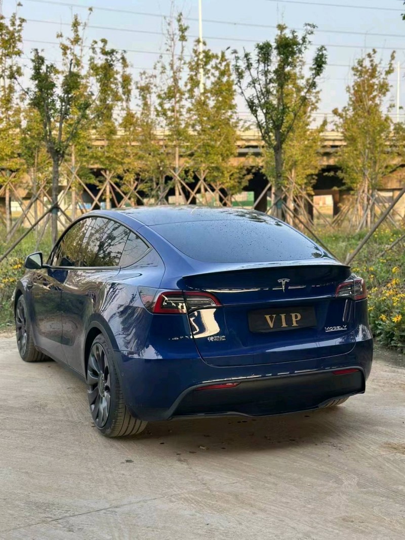 棗莊22年特斯拉MODEL Y6