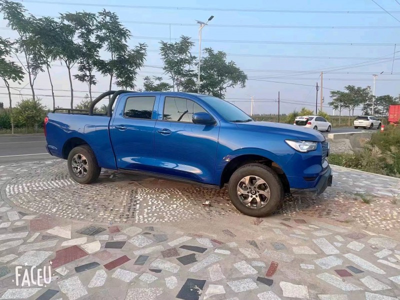 邯郸22年长城汽车炮 皮卡4