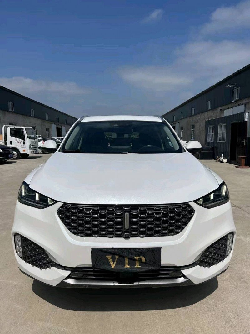 沈阳19年长城汽车WEY VV61