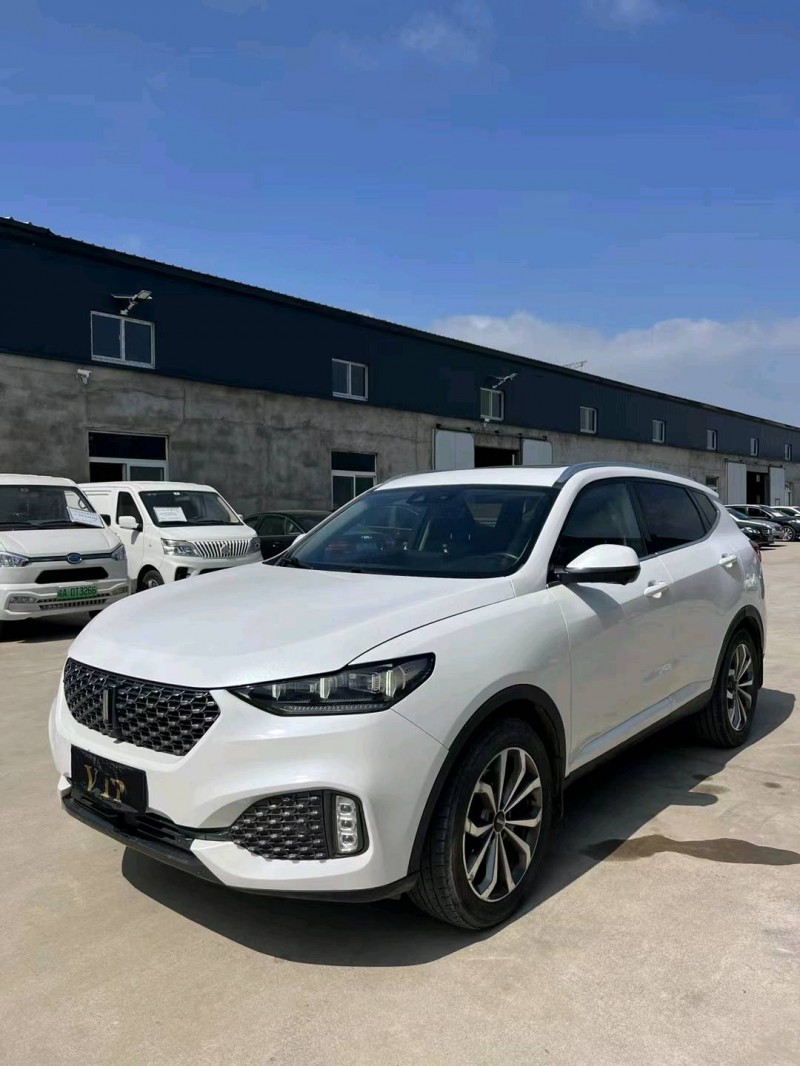 沈阳19年长城汽车WEY VV62