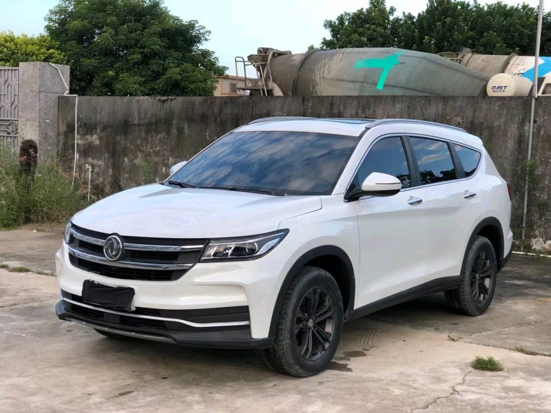 佛山20年东风风光4