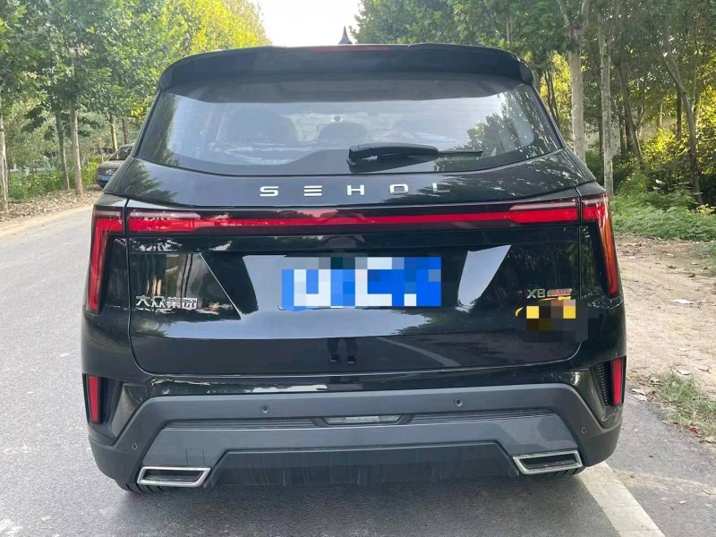 邯郸23年江淮思皓X88