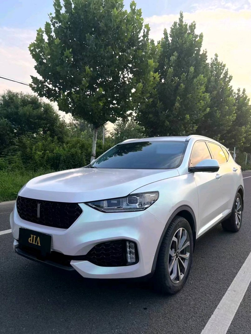 徐州19年长城汽车WEY VV62