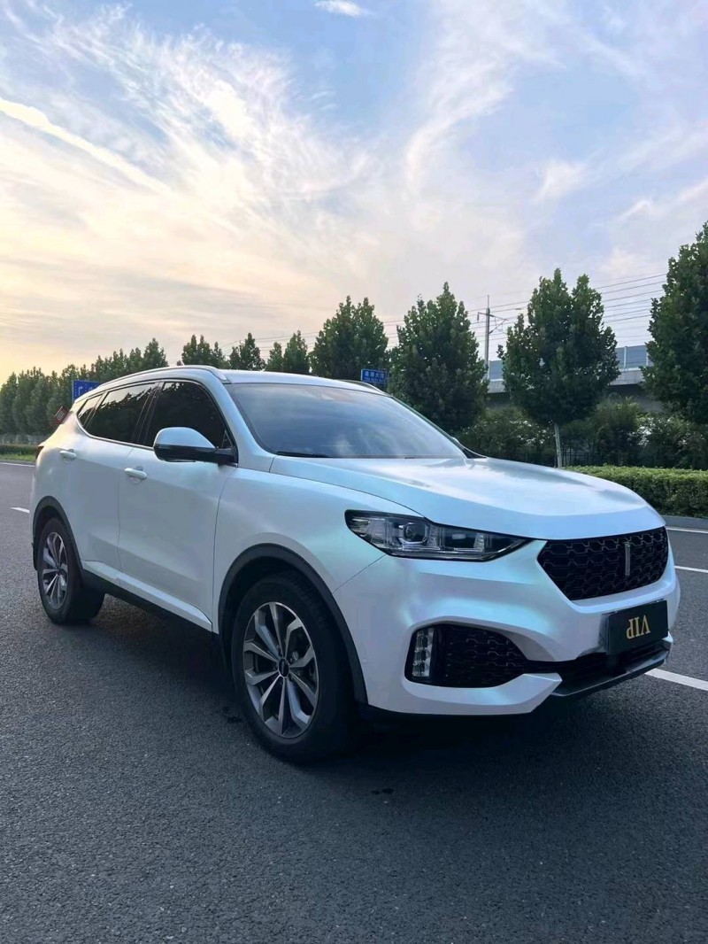 徐州19年长城汽车WEY VV63