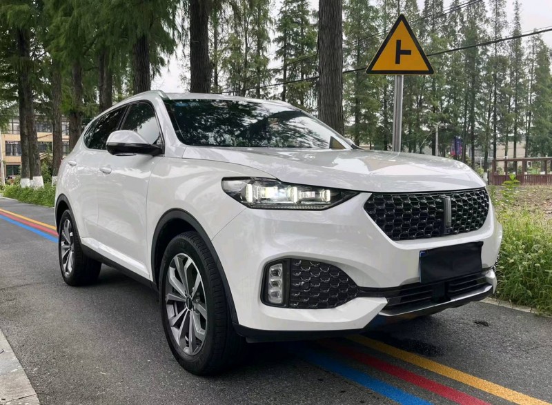 杭州19年長城汽車WEY VV62