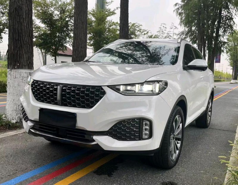 杭州19年長城汽車WEY VV63