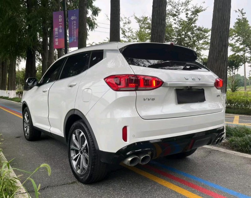 杭州19年長城汽車WEY VV64