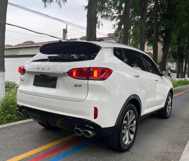 杭州19年長城汽車WEY VV65