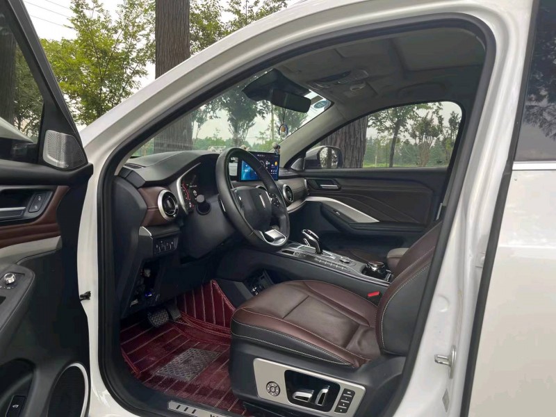 杭州19年長城汽車WEY VV66