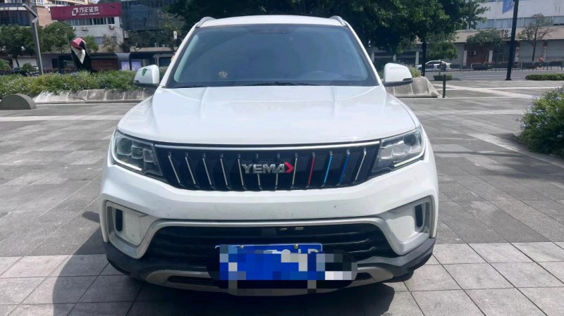 嘉興21年野馬汽車博駿1