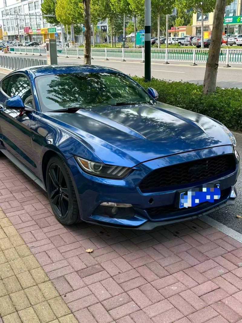 枣庄18年福特野马2